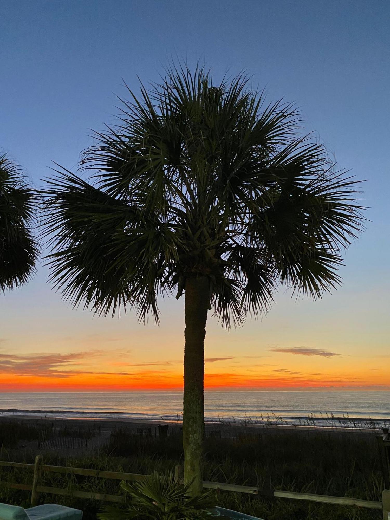 Blue Palmetto Vacation Rentals Myrtle Beach Exterior foto